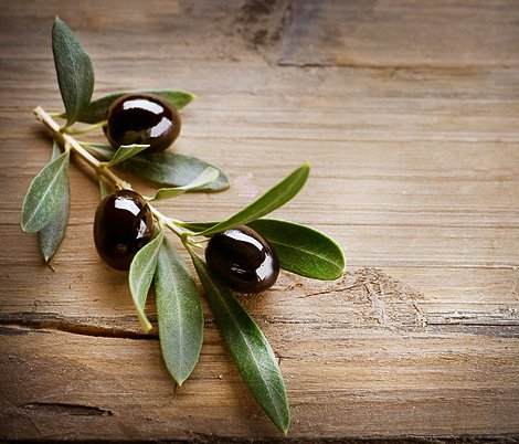 Gesunde Ernährung Gesunde Ernährung